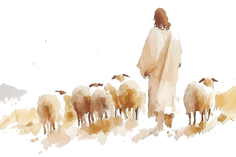 Streamlined Workflow